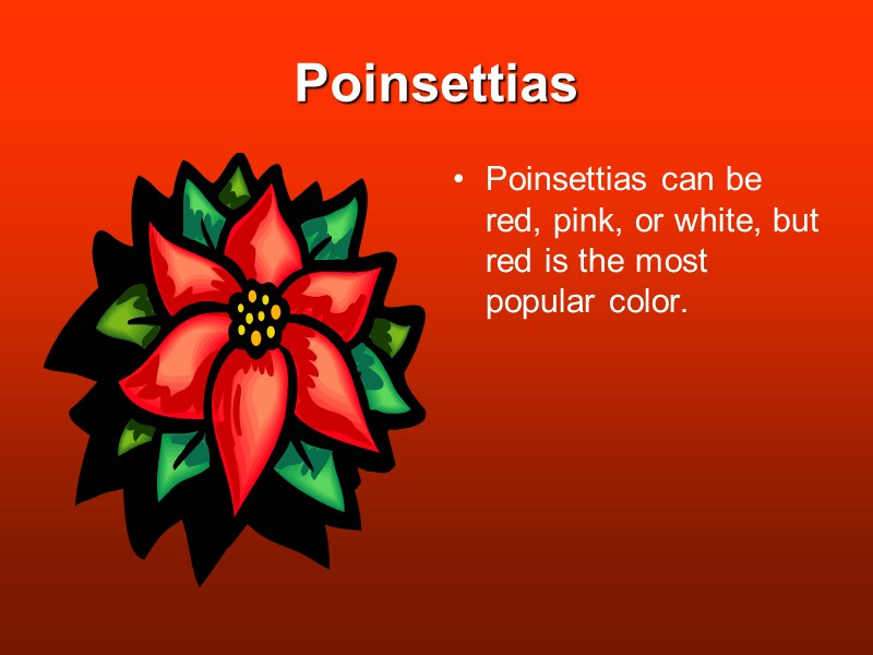 Poinsettias Poinsettias can be red, pink, or white, but red is the most popular